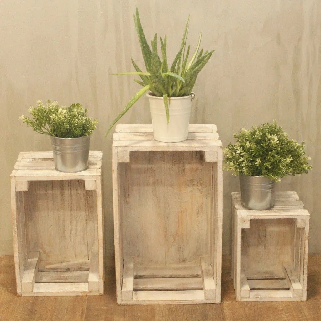 Ancient Wisdom Natural Storage Wooden Fruit Box set of 3 - Brown Blue Green or White Home & Garden > Household Supplies > Storage & Organisation > Household Storage Containers > Wooden Boxes > Natural Storage Solutions > Wooden Fruit Box Sets emmy-jane-boutique.myshopify.com