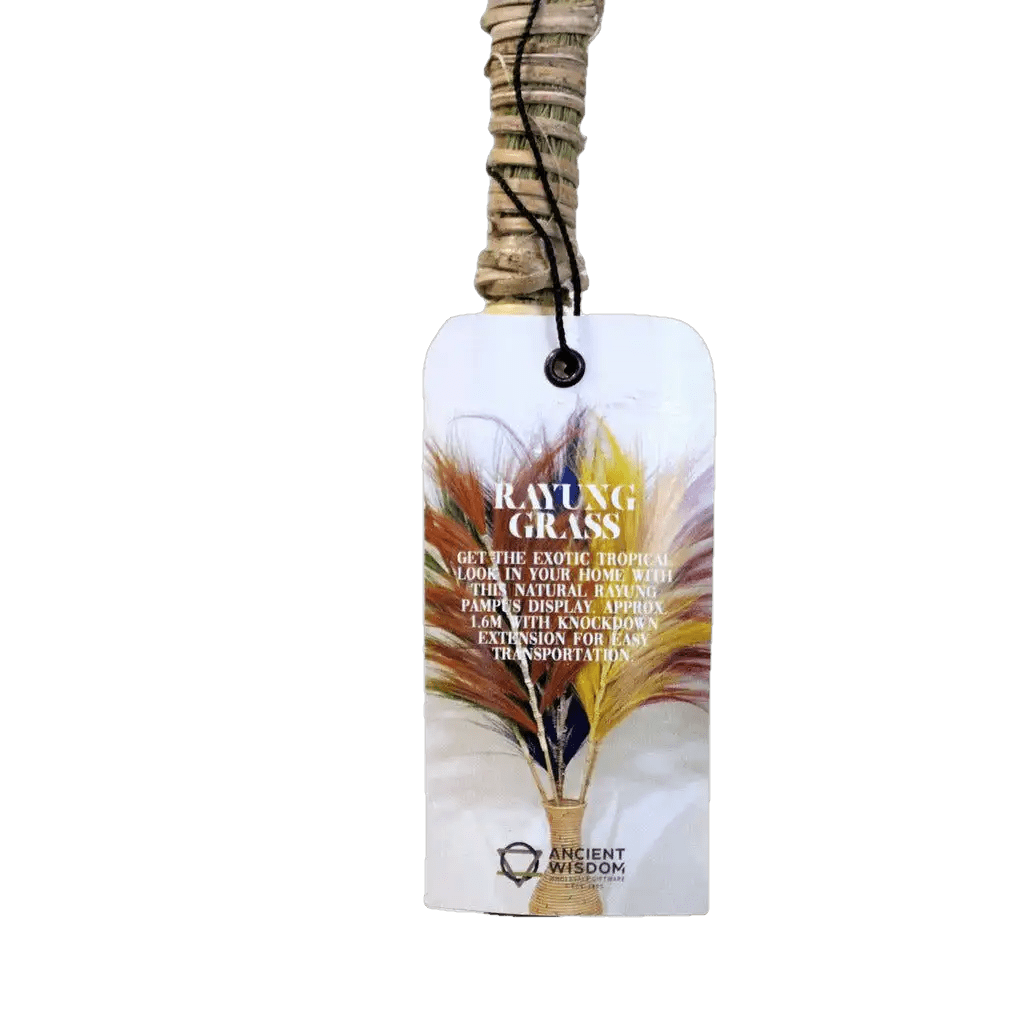 AW Home Rayung Pampas Natural Dried Grass Decor - Pack Of 3 - 2 Sizes 6 Colours Home & Garden > Decor > Dried Flowers > Dried Grasses > Rayung Pampas Natural Dried Grass Decor emmy-jane-boutique.myshopify.com