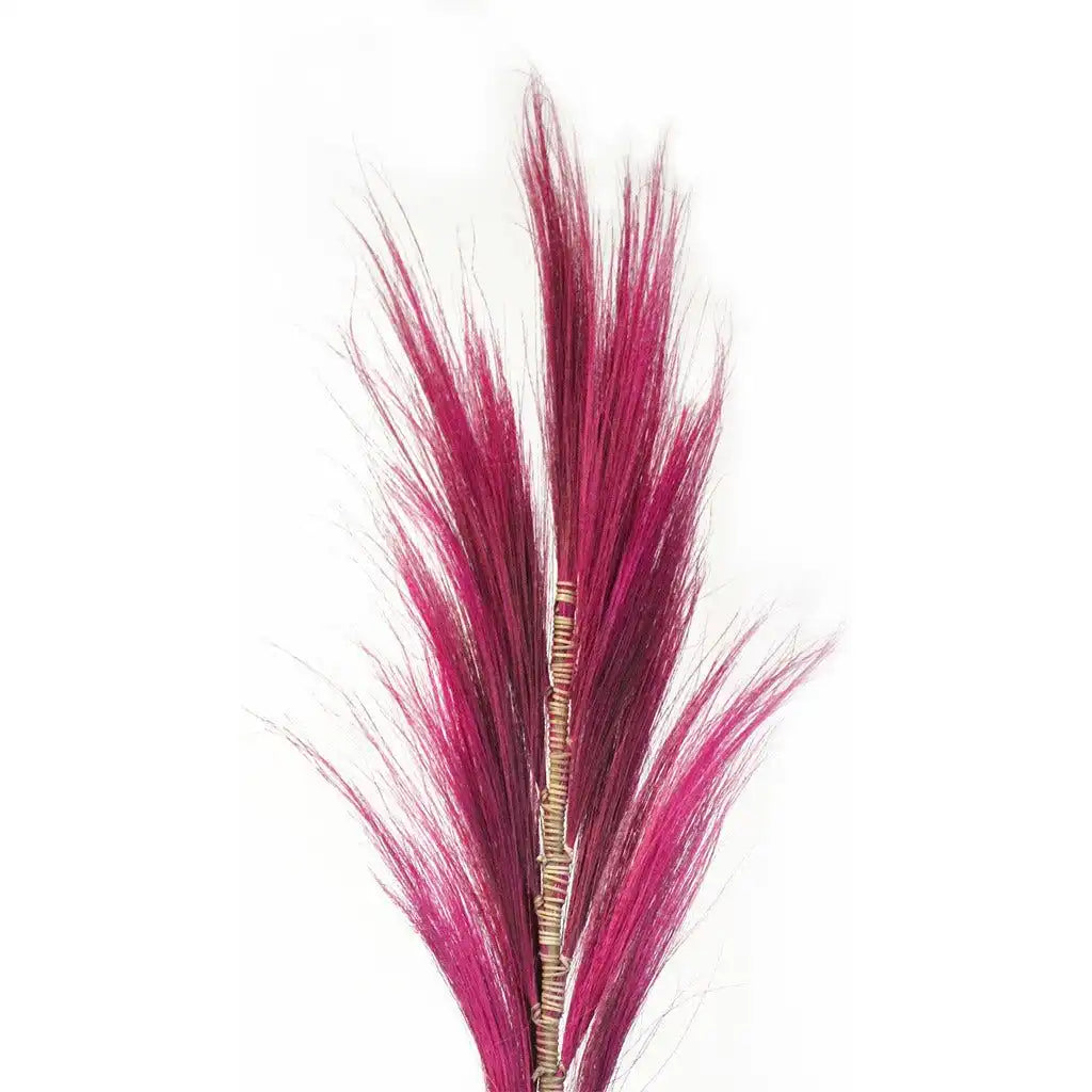 AW Home Rayung Pampas Natural Dried Grass Decor - Pack Of 3 - 2 Sizes 6 Colours Home & Garden > Decor > Dried Flowers > Dried Grasses > Rayung Pampas Natural Dried Grass Decor emmy-jane-boutique.myshopify.com