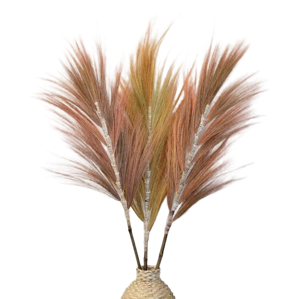 Dried pampas grass in a woven vase on a white background