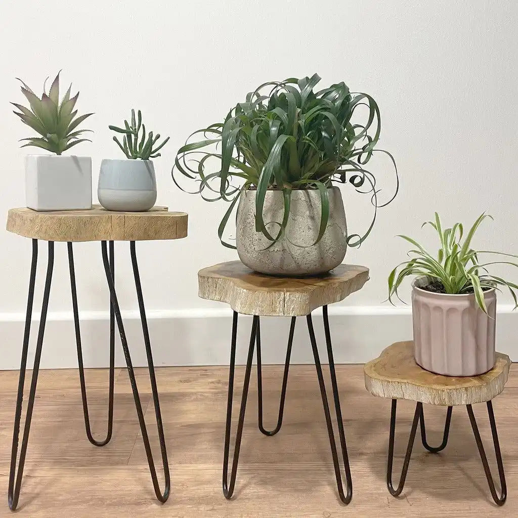 Emmy Jane Wooden Plant Stands - Indonesian Table Set - Natural Home Decor - 3 Colours Furniture > Tables > Accent Tables > End Tables > Indonesian Table Set > Wooden Plant Stands emmy-jane-boutique.myshopify.com