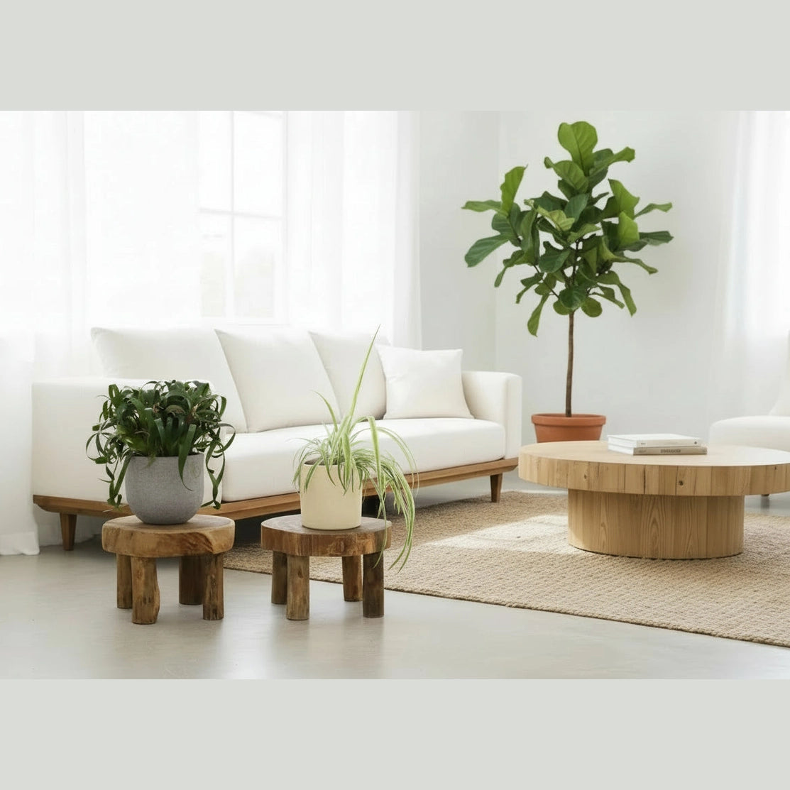 Emmy Jane Wooden Display Tables - Sustainable Natural Teak Wood - Set of 2 - 3 Sizes Furniture > Tables > Accent Tables > Wooden Display Tables emmy-jane-boutique.myshopify.com