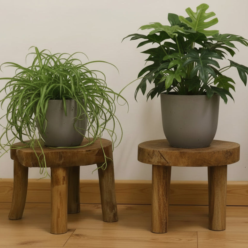 Emmy Jane Wooden Display Tables - Sustainable Natural Teak Wood - Set of 2 - 3 Sizes Furniture > Tables > Accent Tables > Wooden Display Tables emmy-jane-boutique.myshopify.com