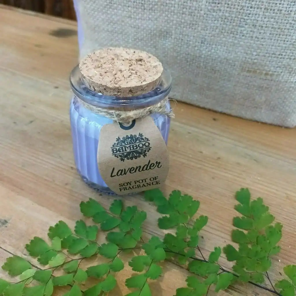 AW Bamboo Soy Wax Jar Candles - Set of 2 - Eco-Friendly Plastic Free Scented Candles Home & Garden > Decor > Home Fragrances > Candles > Soy Wax Candles > Eco-Friendly Candles emmy-jane-boutique.myshopify.com