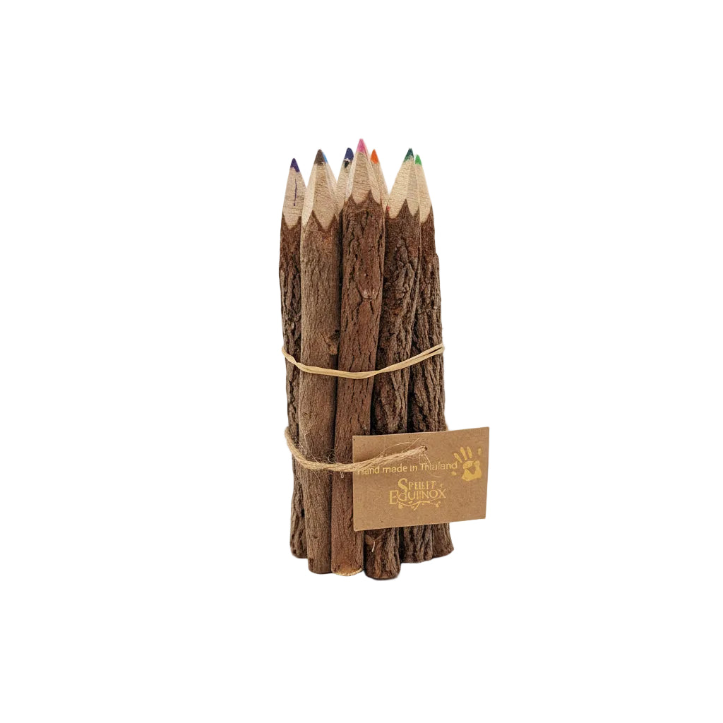 Set of wooden pencils tied together with a tag on a white background