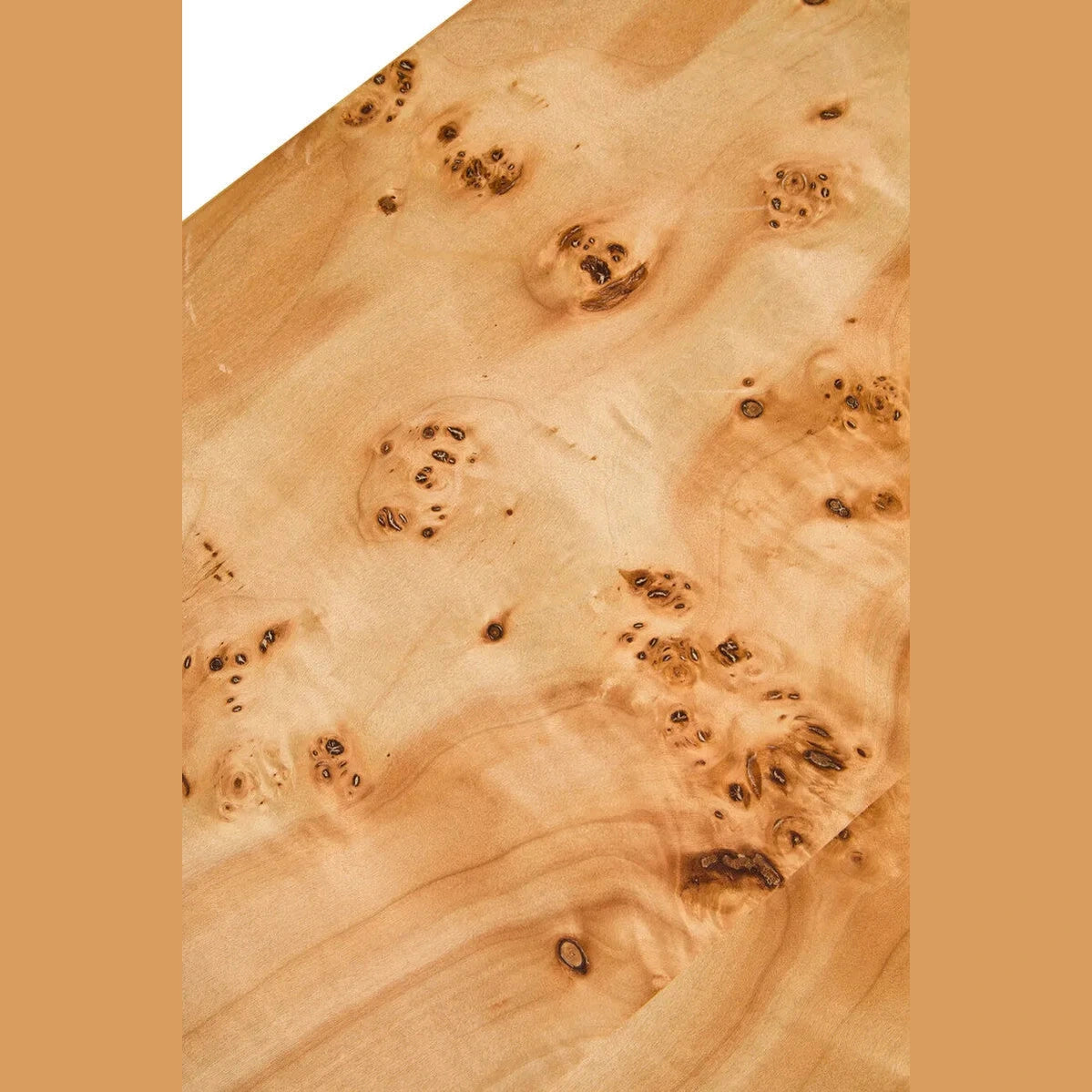 Orsina Wooden Coffee Table Mota Burl Wood Design Curved Coffee Table Furniture > Tables > Accent Tables > Coffee Tables > Wooden Coffee Table > Natural Wood Accent Tables > Mota Burl Wood Design Curved Coffee Table emmy-jane-boutique.myshopify.com