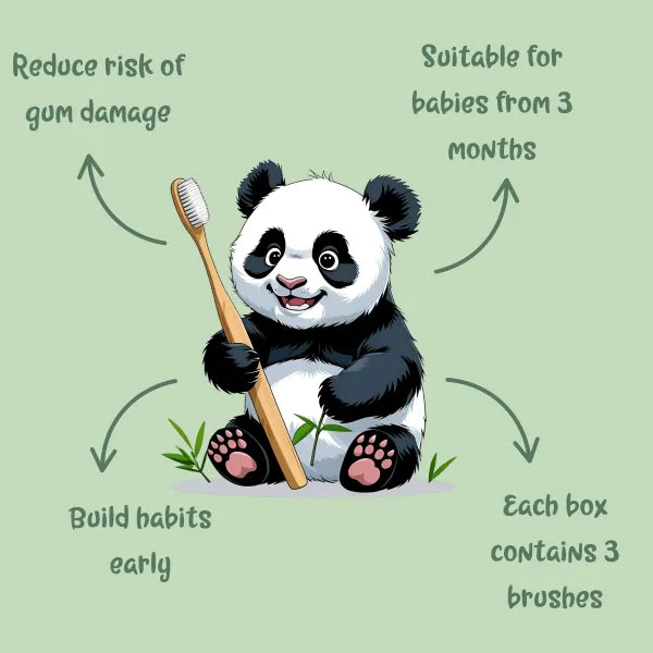 Mama Bamboo panda illustration holding a toothbrush, with supplier information about the three-brush pack and age guide