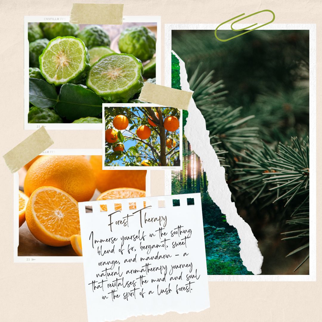 Collage of limes, oranges, and a forest scene with text on a beige background.