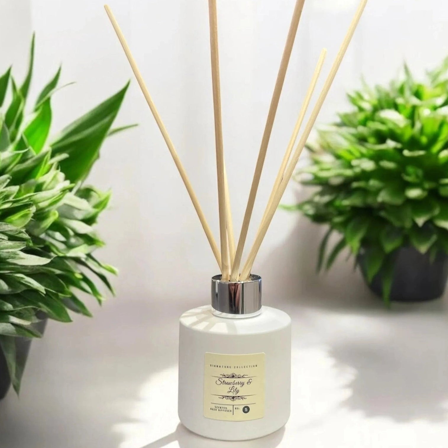 White diffuser with wooden sticks in a pot, surrounded by green plants on a light background
