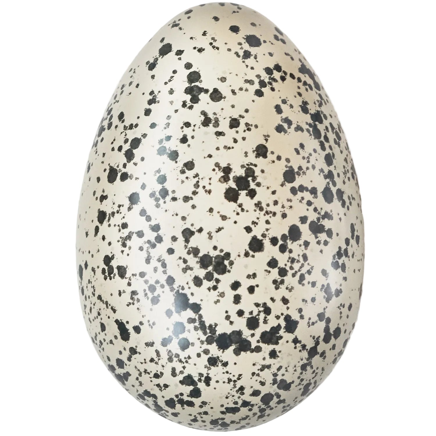 Speckled Easter egg on a white background