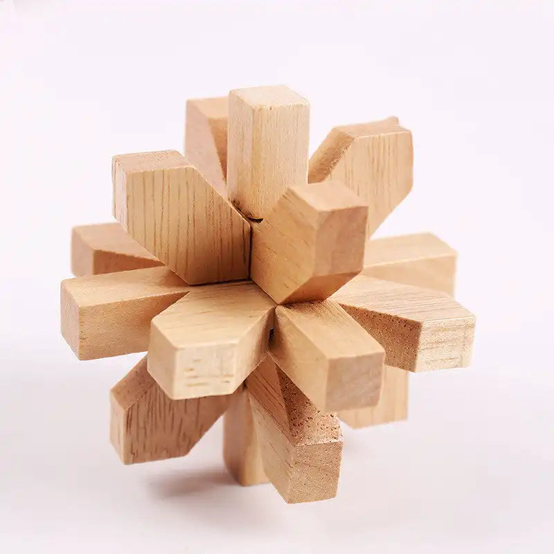 Cashymart Educational Wood Lock Puzzle Set for Kids TOYS emmy-jane-boutique.myshopify.com