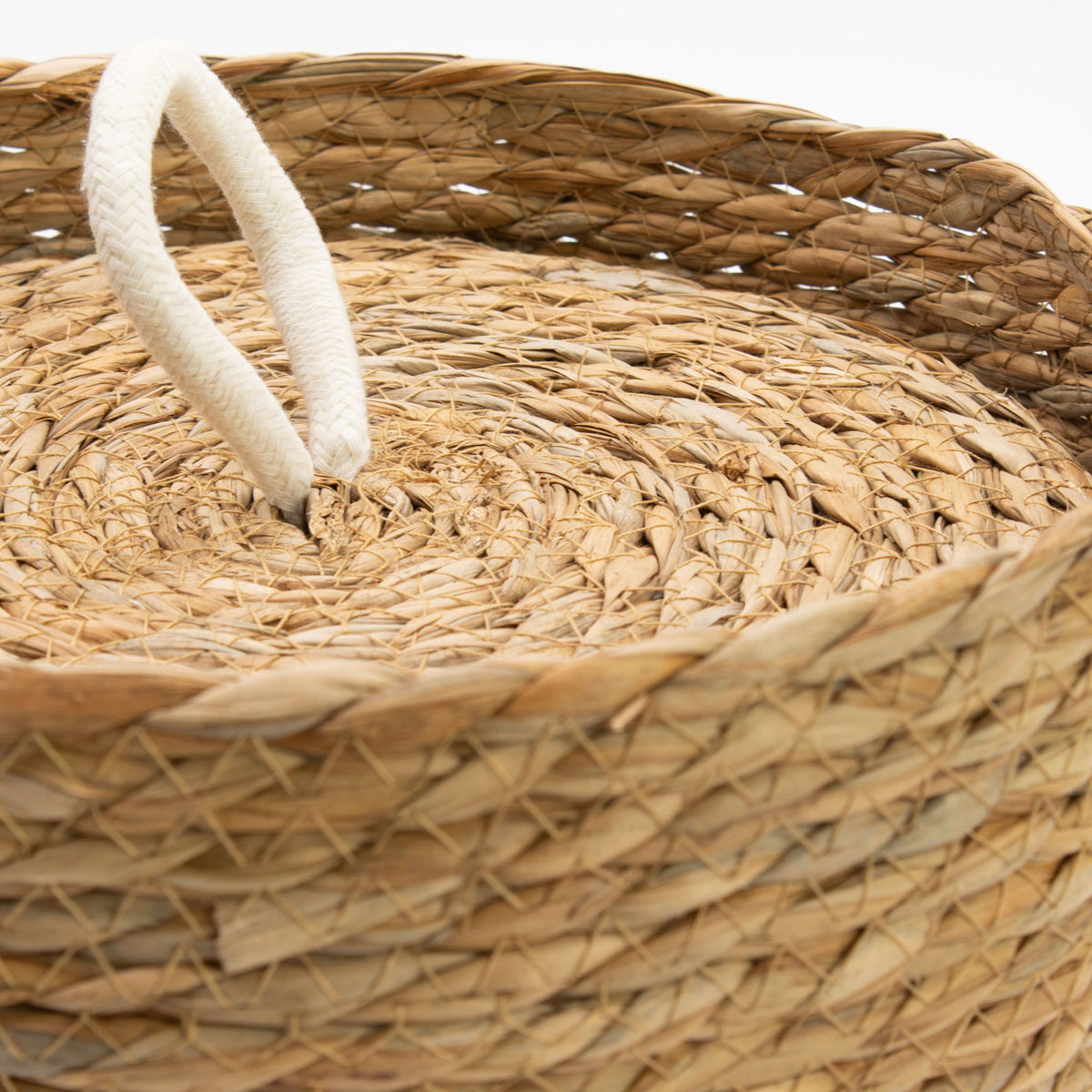 Close-up of the woven texture and white loop handle on a basket lid