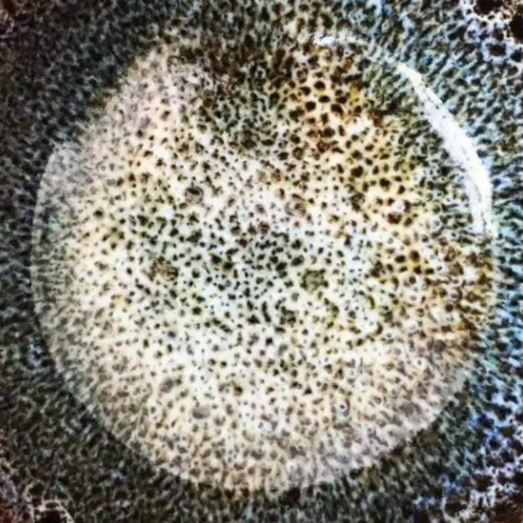 Terre Verdi Organic Skincare Handmade Ceramic Bowl - Face Mask Mixing Bowls Home & Garden > Kitchen & Dining > Tableware > Dinnerware > Bowls > Handmade Bowls > Handmade Ceramic Bowls > Face Mask Mixing Bowls emmy-jane-boutique.myshopify.com