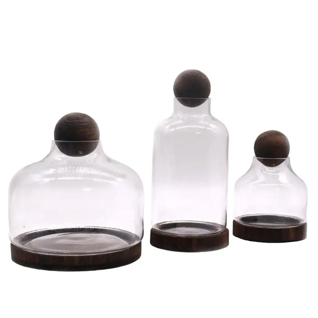 Ancient Wisdom Glass Terrariums on Dark Tung Wood Ball Top Home & Garden > Decor > Vases > Glass Vases > Glass Terrariums on Dark Tung Wood Ball Top emmy-jane-boutique.myshopify.com