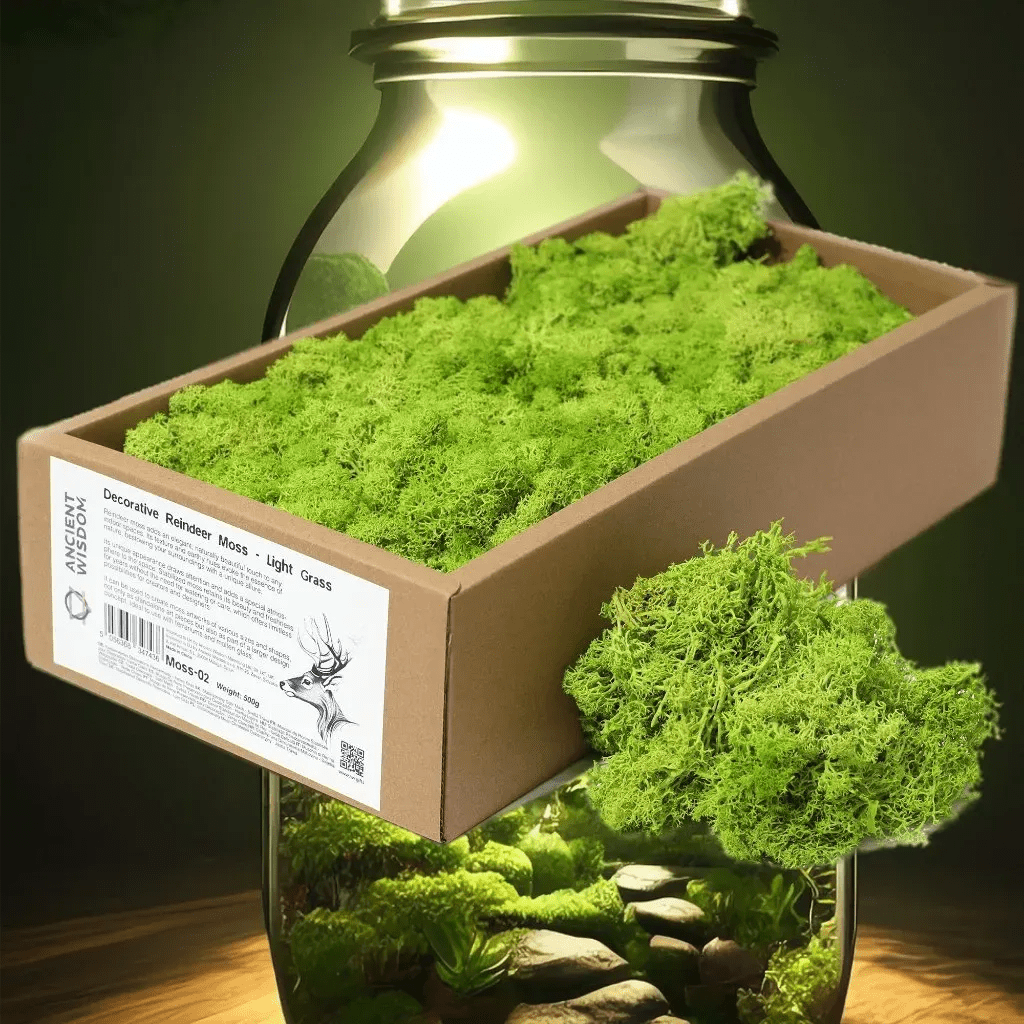 Ancient Wisdom Decorative Moss - Natural Colours - Reindeer Moss Home & Garden > Decor > Vase Fillers & Table Scatters > Decorative Moss Natural Colours > Moss for TerrariumsReindeer Moss emmy-jane-boutique.myshopify.com