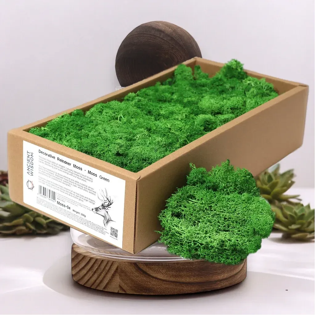 Ancient Wisdom Decorative Moss - Natural Colours - Reindeer Moss Home & Garden > Decor > Vase Fillers & Table Scatters > Decorative Moss Natural Colours > Moss for TerrariumsReindeer Moss emmy-jane-boutique.myshopify.com
