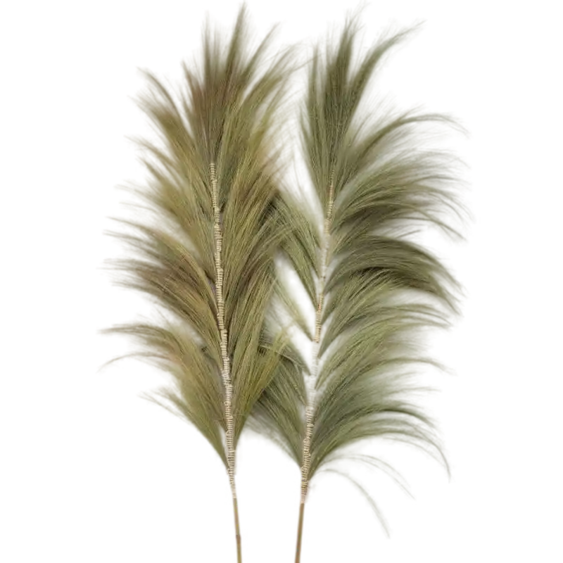 AW Home Rayung Pampas Natural Dried Grass Decor - Pack Of 3 - 2 Sizes 6 Colours Home & Garden > Decor > Dried Flowers > Dried Grasses > Rayung Pampas Natural Dried Grass Decor emmy-jane-boutique.myshopify.com