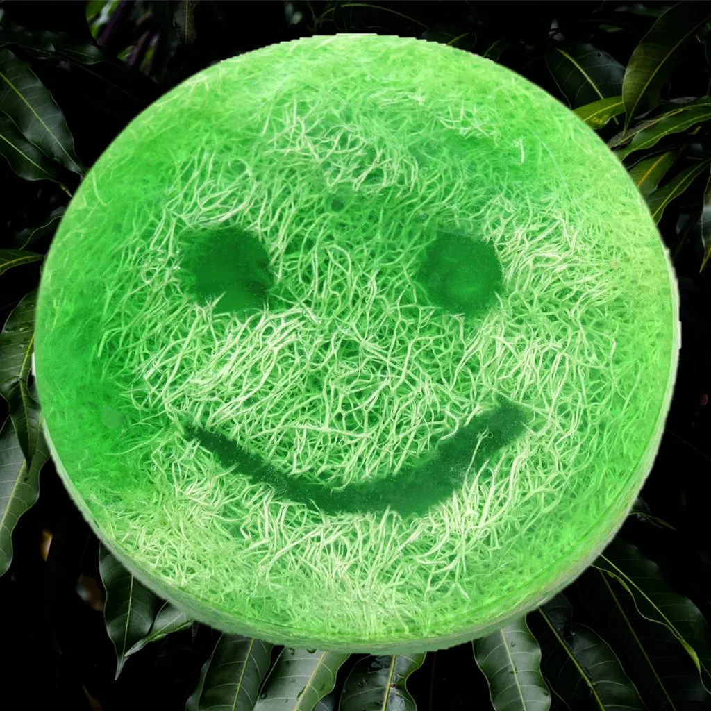 Emmy Jane Happy Scrub Loofah Soap - Vegan Friendly - 5 Fruity Varieties Health & Beauty > Personal Care > Cosmetics > Bath & Body > Bar Soap > Handmade Soaps > Loofah Soap > Vegan Soap > Fruity Soap emmy-jane-boutique.myshopify.com