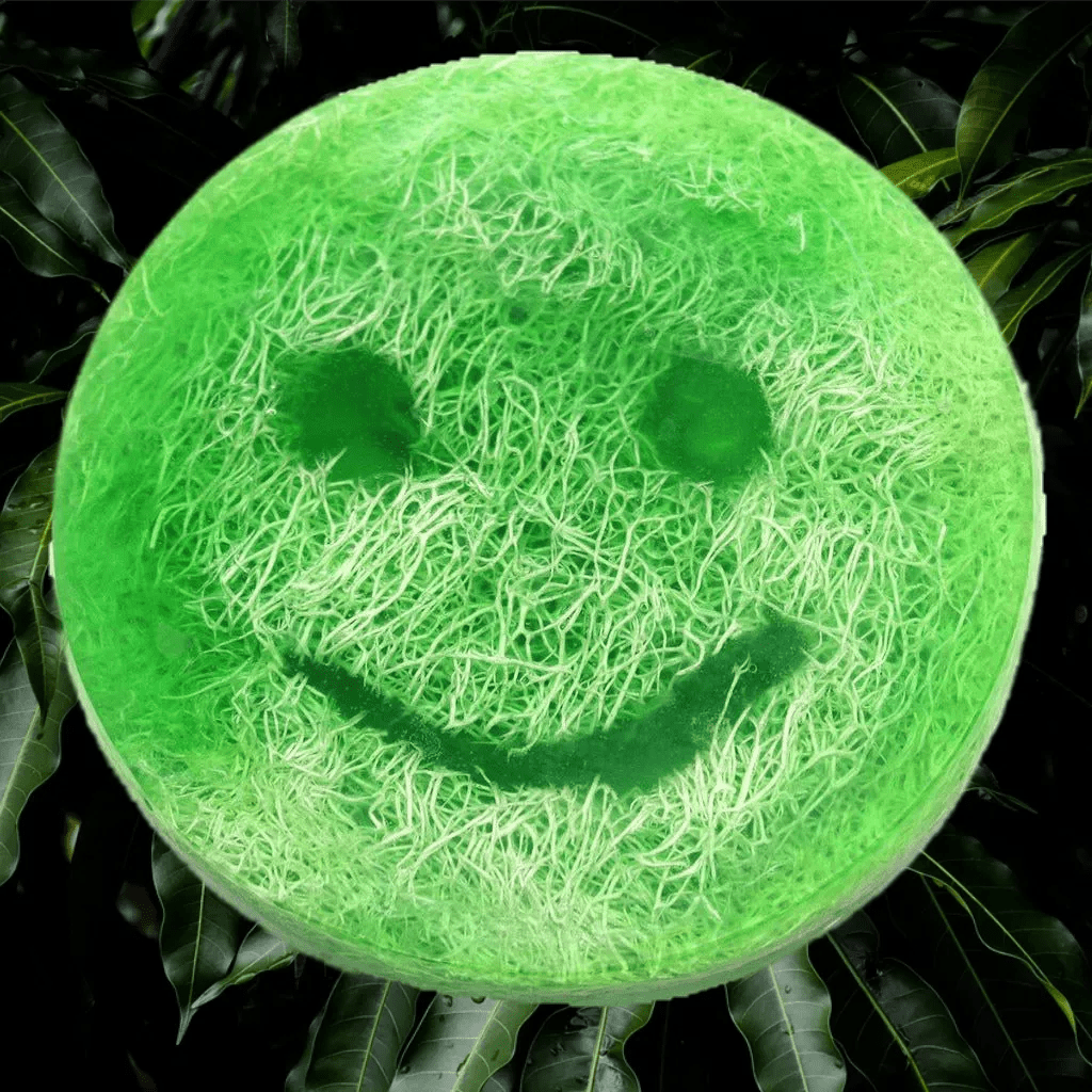 Emmy Jane Happy Scrub Loofah Soap - Vegan Friendly - 5 Fruity Varieties Health & Beauty > Personal Care > Cosmetics > Bath & Body > Bar Soap > Handmade Soaps > Loofah Soap > Vegan Soap > Fruity Soap emmy-jane-boutique.myshopify.com