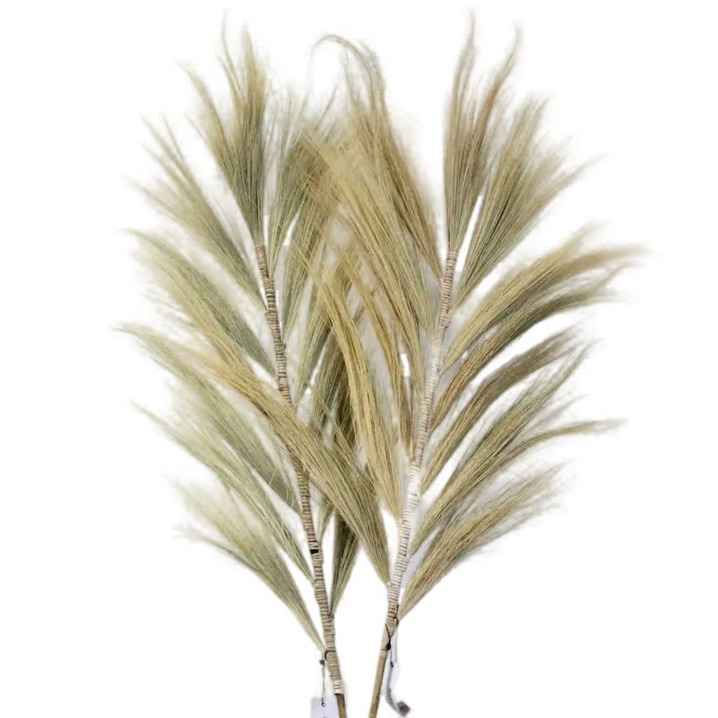AW Home Rayung Pampas Natural Dried Grass Decor - Pack Of 3 - 2 Sizes 6 Colours Home & Garden > Decor > Dried Flowers > Dried Grasses > Rayung Pampas Natural Dried Grass Decor emmy-jane-boutique.myshopify.com