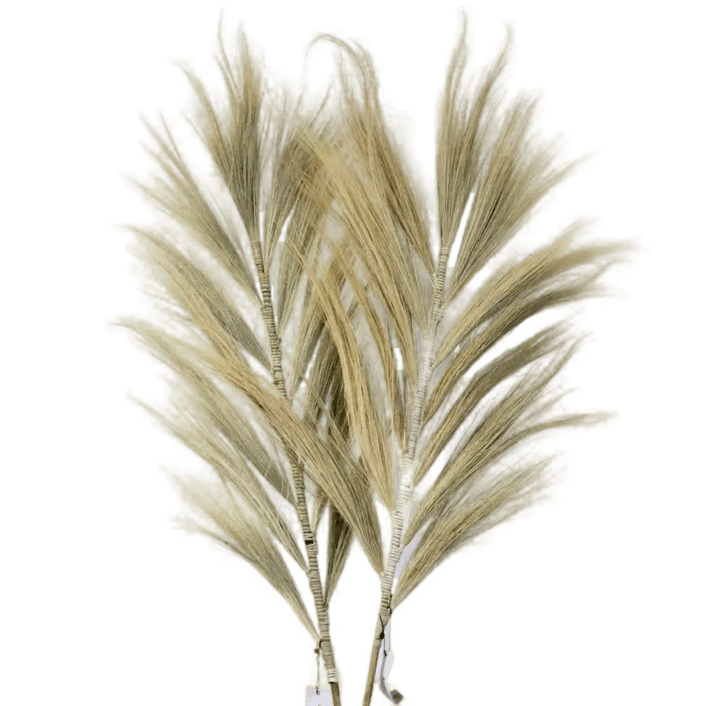 AW Home Rayung Pampas Natural Dried Grass Decor - Pack Of 3 - 2 Sizes 6 Colours Home & Garden > Decor > Dried Flowers > Dried Grasses > Rayung Pampas Natural Dried Grass Decor emmy-jane-boutique.myshopify.com