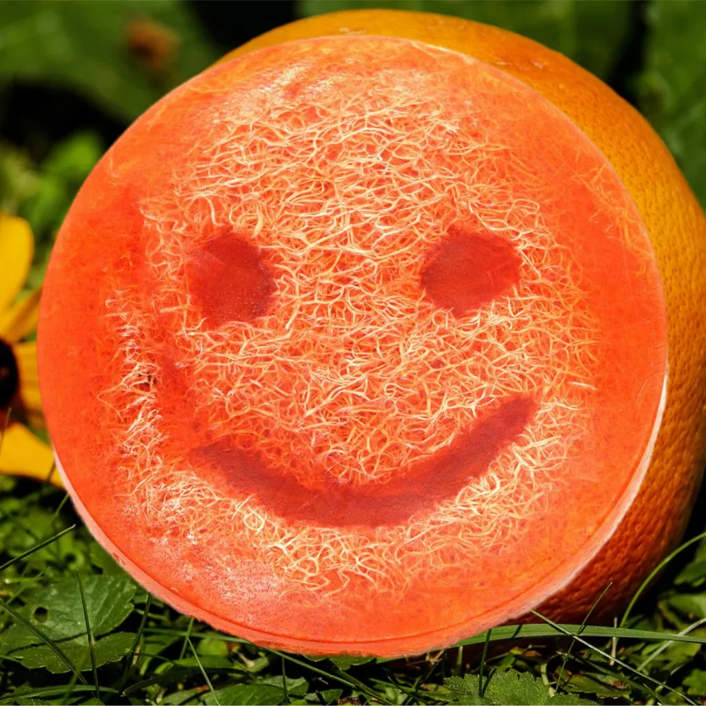 Emmy Jane Happy Scrub Loofah Soap - Vegan Friendly - 5 Fruity Varieties Health & Beauty > Personal Care > Cosmetics > Bath & Body > Bar Soap > Handmade Soaps > Loofah Soap > Vegan Soap > Fruity Soap emmy-jane-boutique.myshopify.com