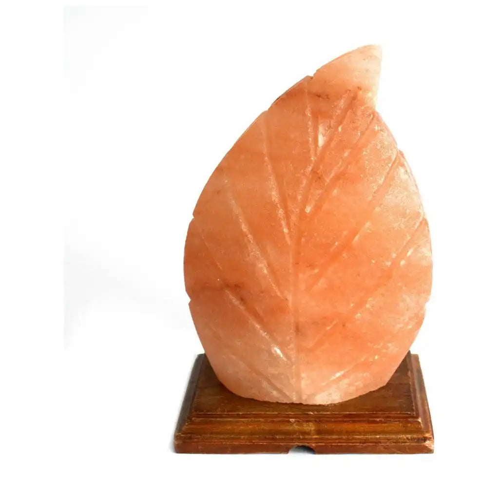 Emmy Jane Natural Himalayan Crystal Salt Lamp - Fern Leaf Shape Home & Garden > Lighting > Lamps > Natural Himalayan Crystal Salt Lamp > Leaf Shaped Lamps emmy-jane-boutique.myshopify.com