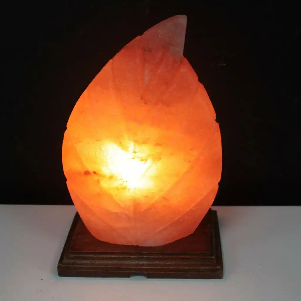 Emmy Jane Natural Himalayan Crystal Salt Lamp - Fern Leaf Shape Home & Garden > Lighting > Lamps > Natural Himalayan Crystal Salt Lamp > Leaf Shaped Lamps emmy-jane-boutique.myshopify.com