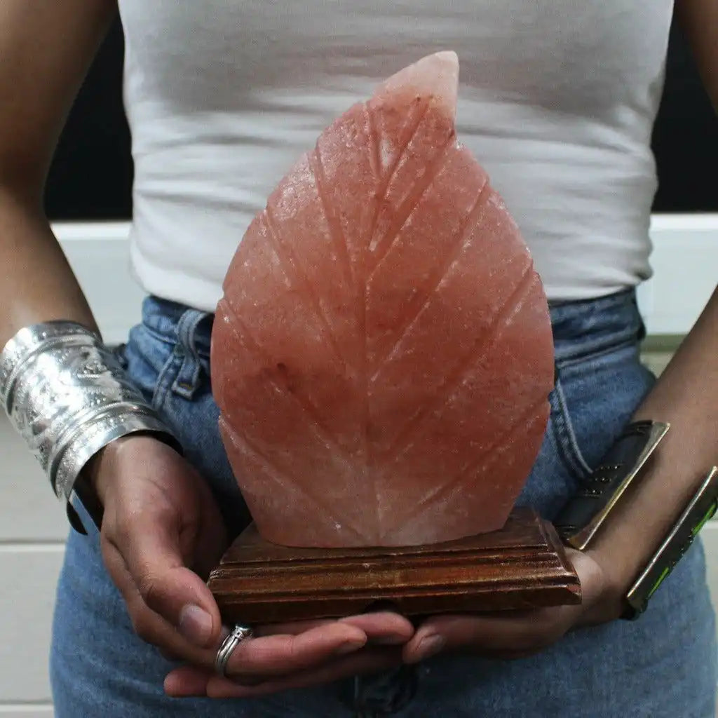 Emmy Jane Natural Himalayan Crystal Salt Lamp - Fern Leaf Shape Home & Garden > Lighting > Lamps > Natural Himalayan Crystal Salt Lamp > Leaf Shaped Lamps emmy-jane-boutique.myshopify.com