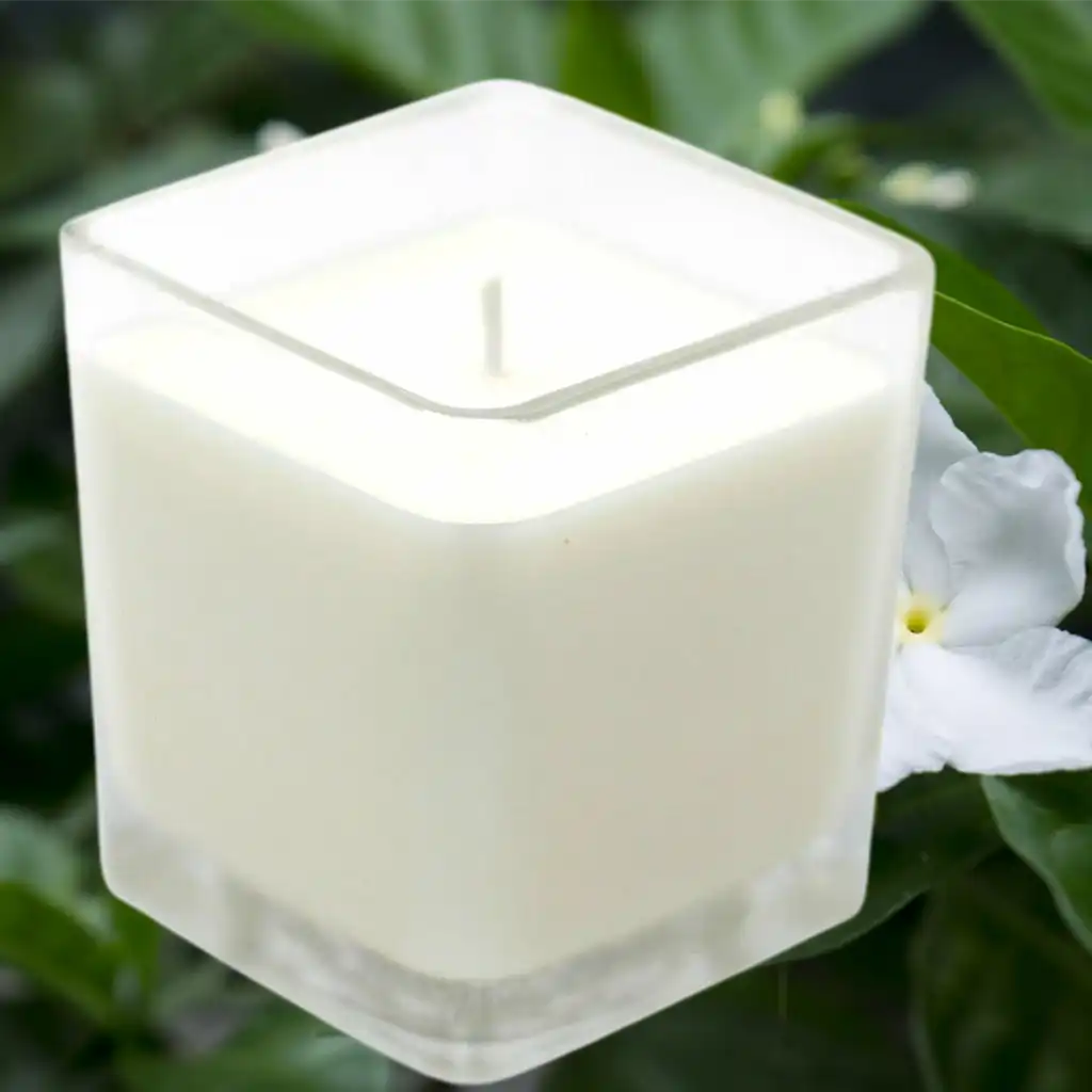 Emmy Jane Soy Wax Jar Candles in Recycled Glass Jars - Choose from 6 Great Scents Home & Garden > Decor > Home Fragrances > Candles > Soy Wax Candles > Eco-Friendly Candles emmy-jane-boutique.myshopify.com