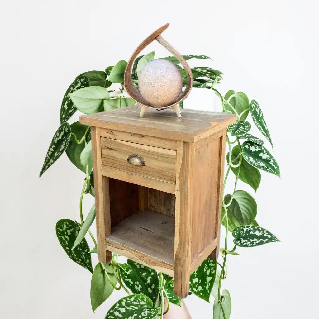 Ancient Wisdom Natural Coconut Lamps Handmade In Indonesia- 6 Great Styles Home & Garden > Lighting > Lamps > Handmade Indonesian Natural Coconut Lamps emmy-jane-boutique.myshopify.com