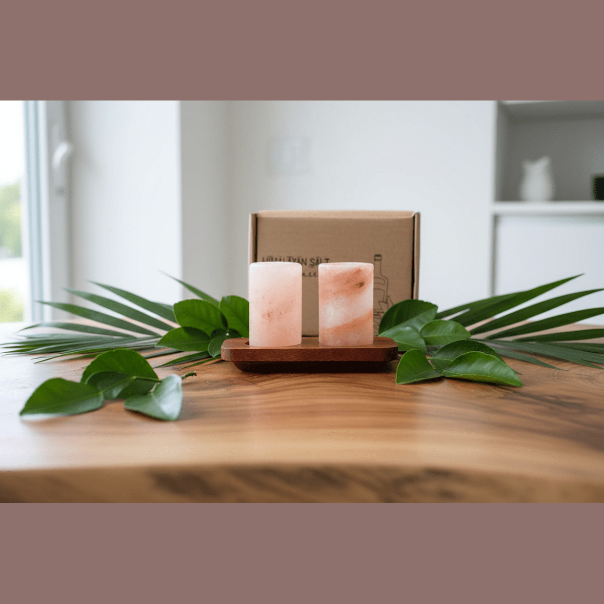 Two salt rock tequila glasses on a wooden stand with green leaves and a box in the background.