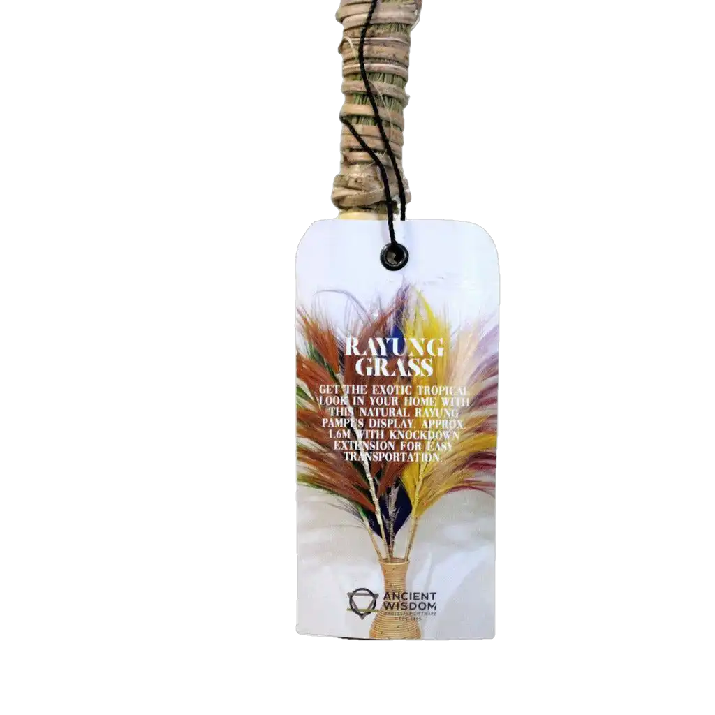 AW Home Rayung Pampas Natural Dried Grass Decor - Pack Of 3 - 2 Sizes 6 Colours Home & Garden > Decor > Dried Flowers > Dried Grasses > Rayung Pampas Natural Dried Grass Decor emmy-jane-boutique.myshopify.com