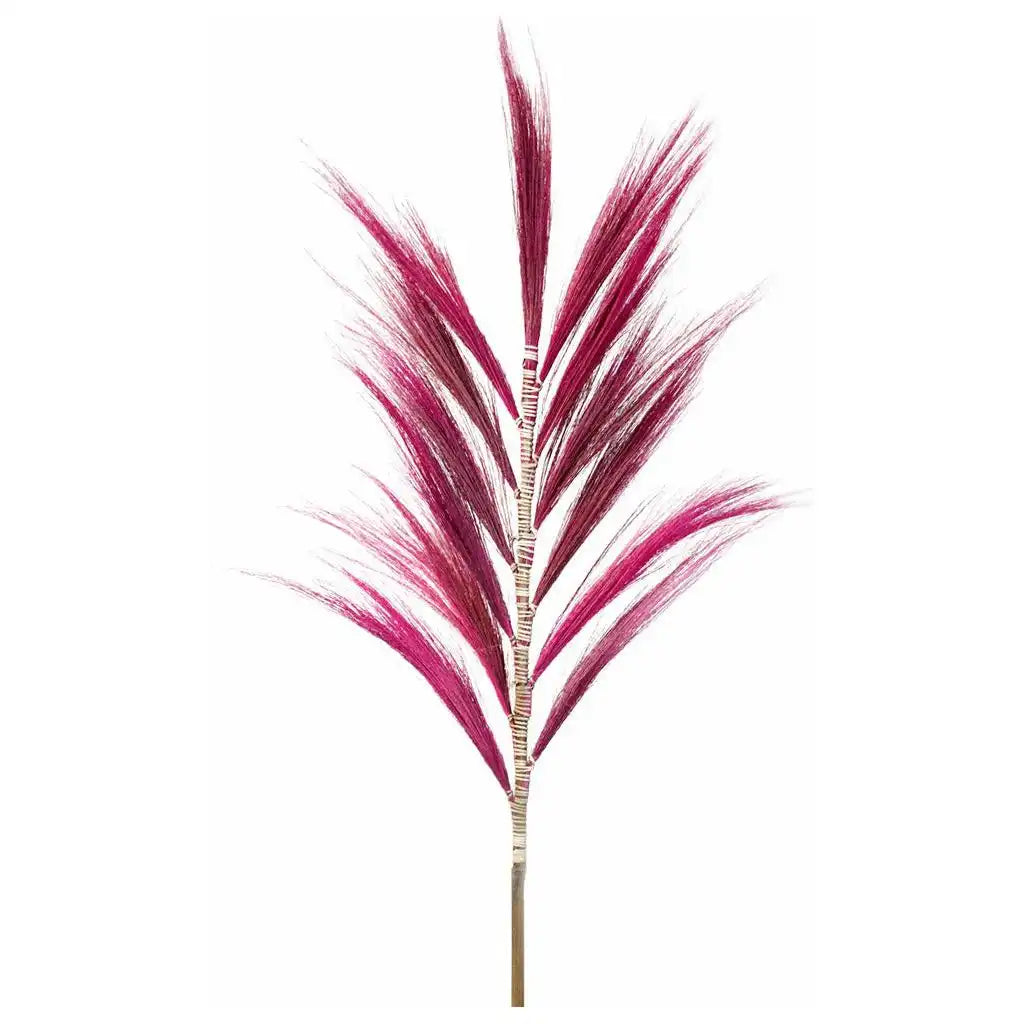 AW Home Rayung Pampas Natural Dried Grass Decor - Pack Of 3 - 2 Sizes 6 Colours Home & Garden > Decor > Dried Flowers > Dried Grasses > Rayung Pampas Natural Dried Grass Decor emmy-jane-boutique.myshopify.com