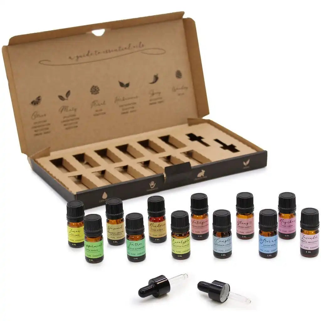 Ancient Wisdom Aromatherapy Essential Oil Starter Sets - Pure Handmade & Vegan Friendly Health & Beauty > Personal Care > Massage & Relaxation > Massage Oil > Essential Oils > Aromatherapy Essential Oil Starter Sets - Pure Handmade Essential Oil Sets > Vegan Essential Oils emmy-jane-boutique.myshopify.com