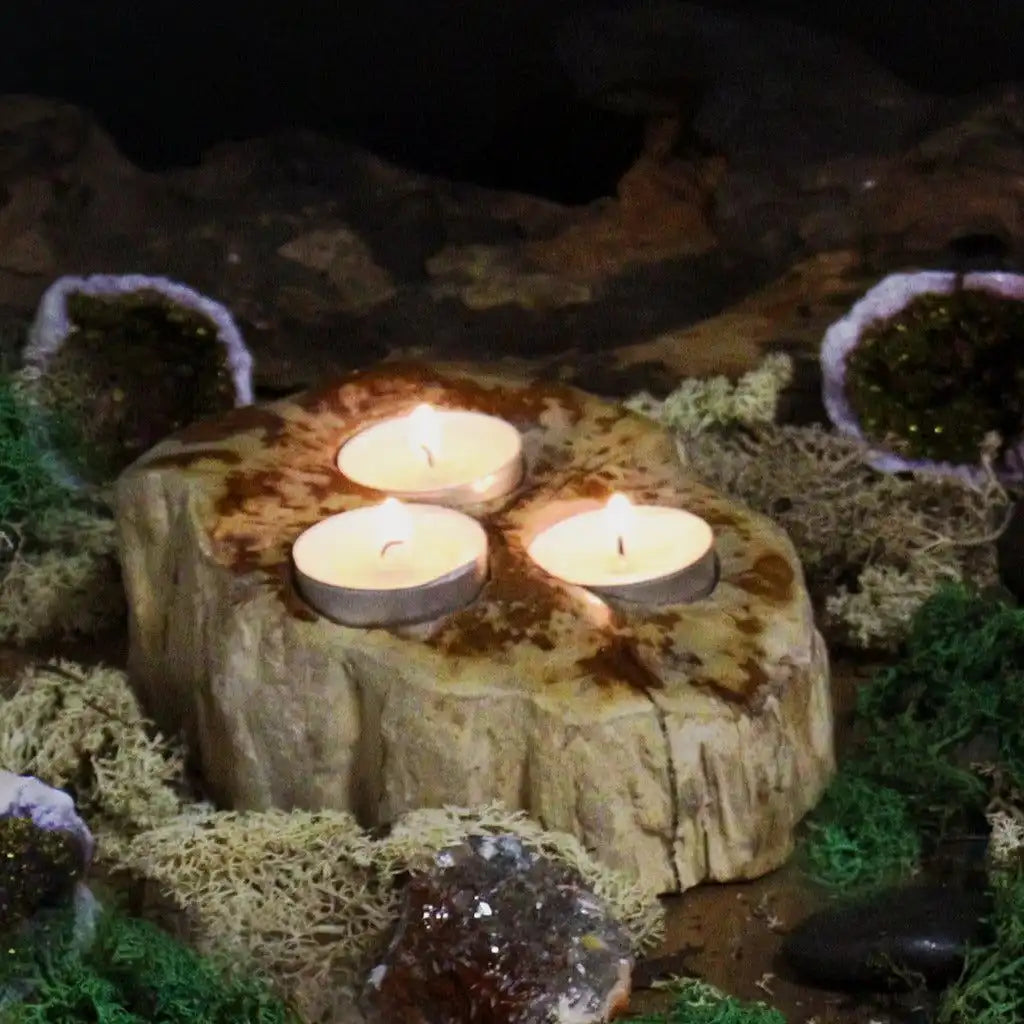 Emmy Jane Petrified Wood Candle Holder - Handcarved & Fairly Traded Home & Garden > Decor > Home Fragrance Accessories > Candle Holders emmy-jane-boutique.myshopify.com