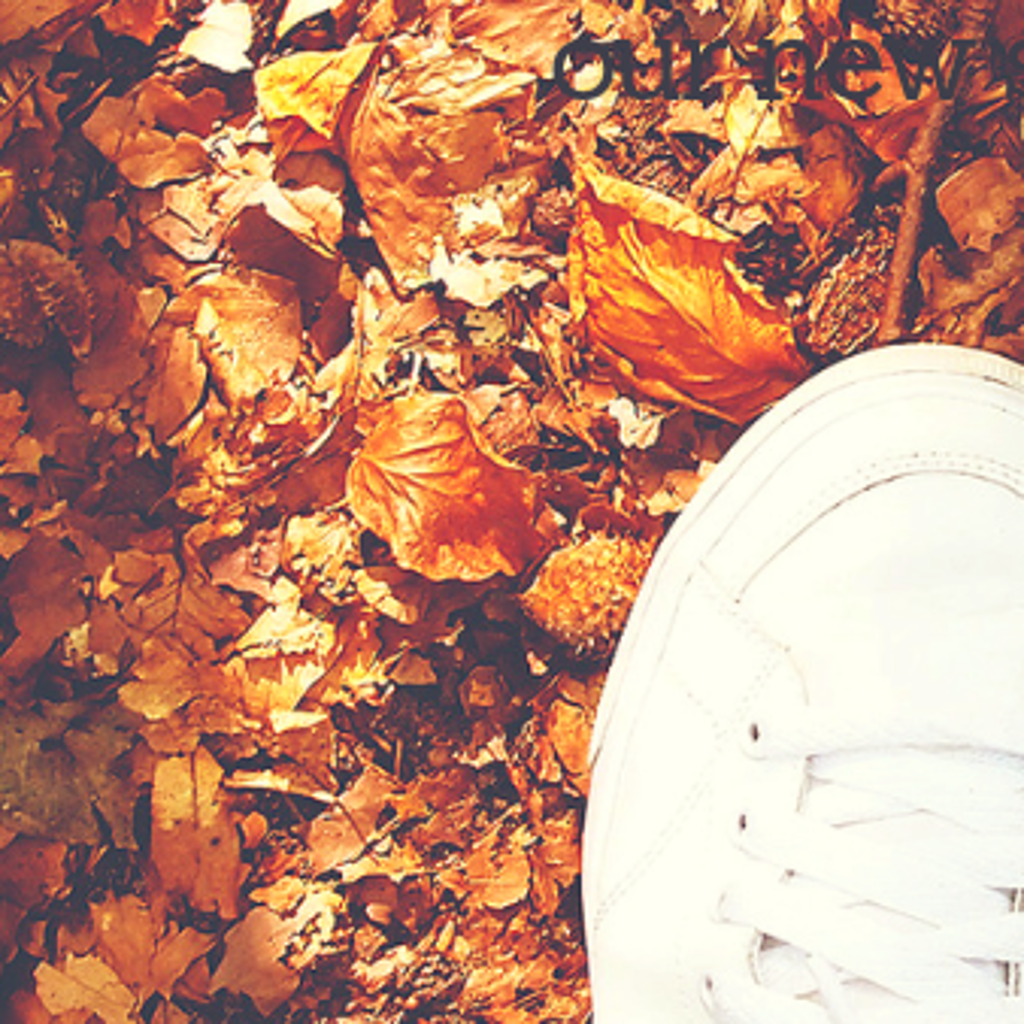 A photgraph of a white trainered foot stepping on crunchy Autumn leaves.