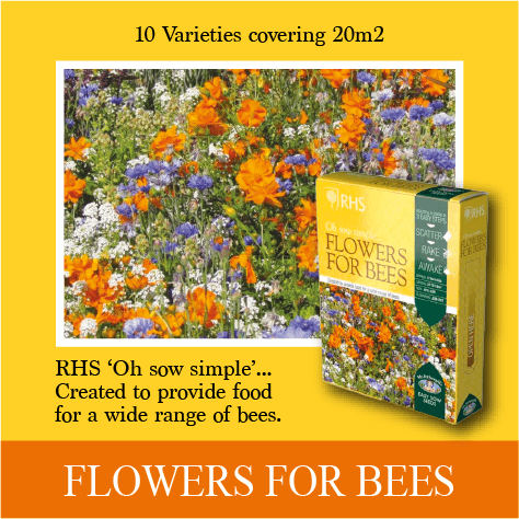 Easy Grow Bee Friendly Flower Seeds Summer Garden
