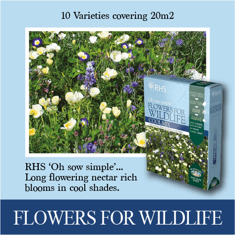 Flowers for Wildlife packaging with a field of flowers on a blue background