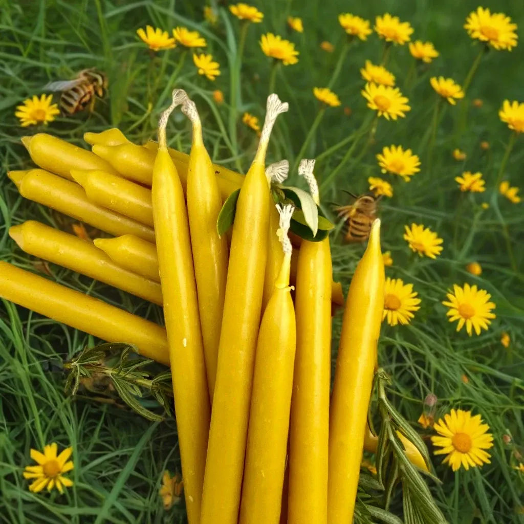 Beeswax Hand Dipped Taper Candles- 1/2" width. Three size options-1