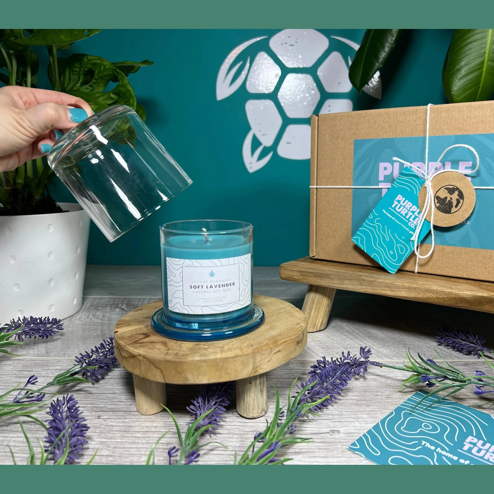 Candle with a wooden stand, surrounded by lavender flowers, against a teal background with a plant.