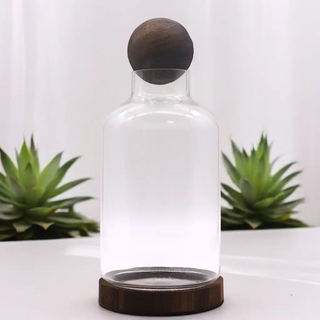 Ancient Wisdom Glass Terrariums on Dark Tung Wood Ball Top Home & Garden > Decor > Vases > Glass Vases > Glass Terrariums on Dark Tung Wood Ball Top emmy-jane-boutique.myshopify.com