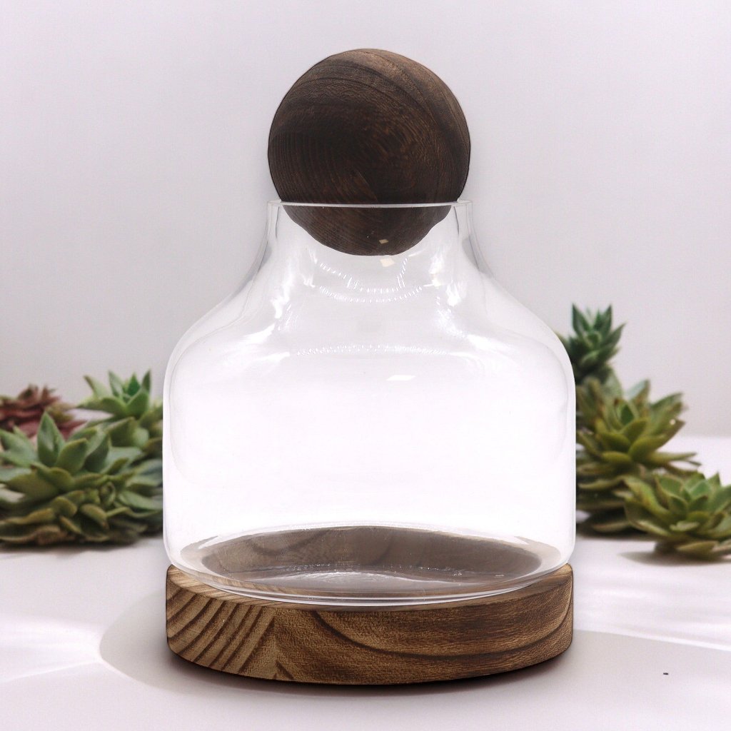 Glass Terrariums on Dark Tung Wood Ball Top