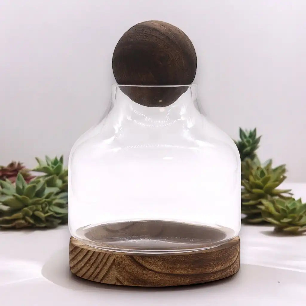 Ancient Wisdom Glass Terrariums on Dark Tung Wood Ball Top Home & Garden > Decor > Vases > Glass Vases > Glass Terrariums on Dark Tung Wood Ball Top emmy-jane-boutique.myshopify.com