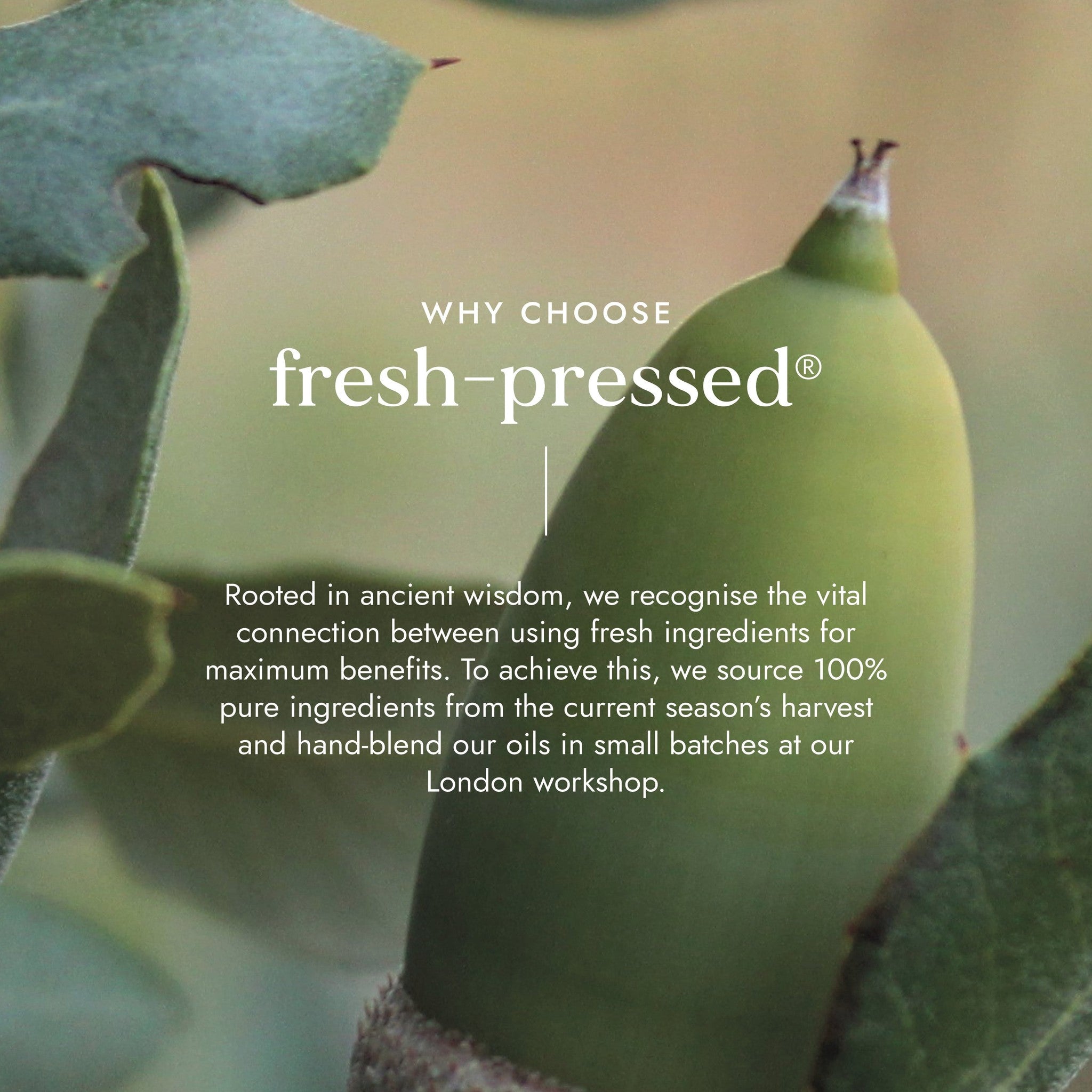 Green fruit with leaves and text about fresh-pressed products