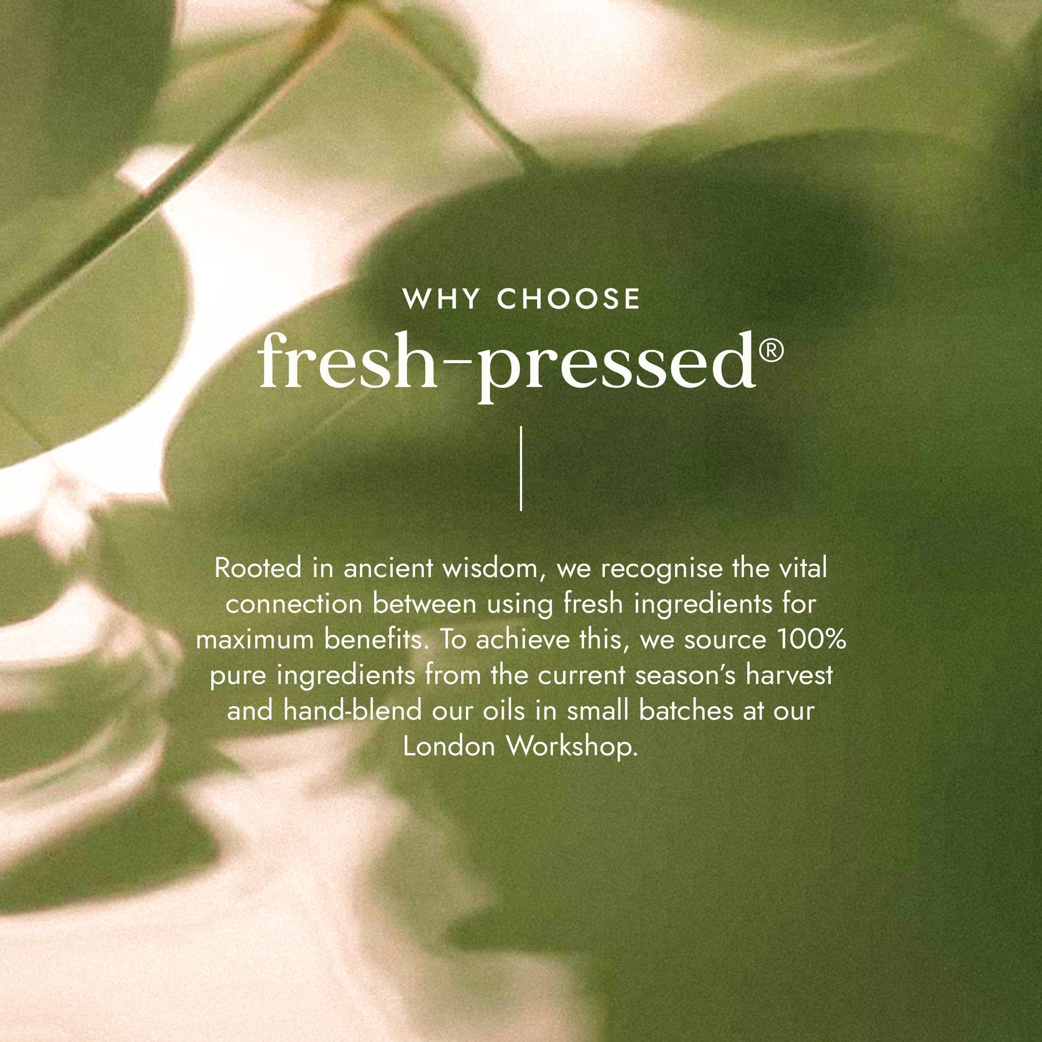 Text about choosing fresh-pressed products with green leaves in the background
