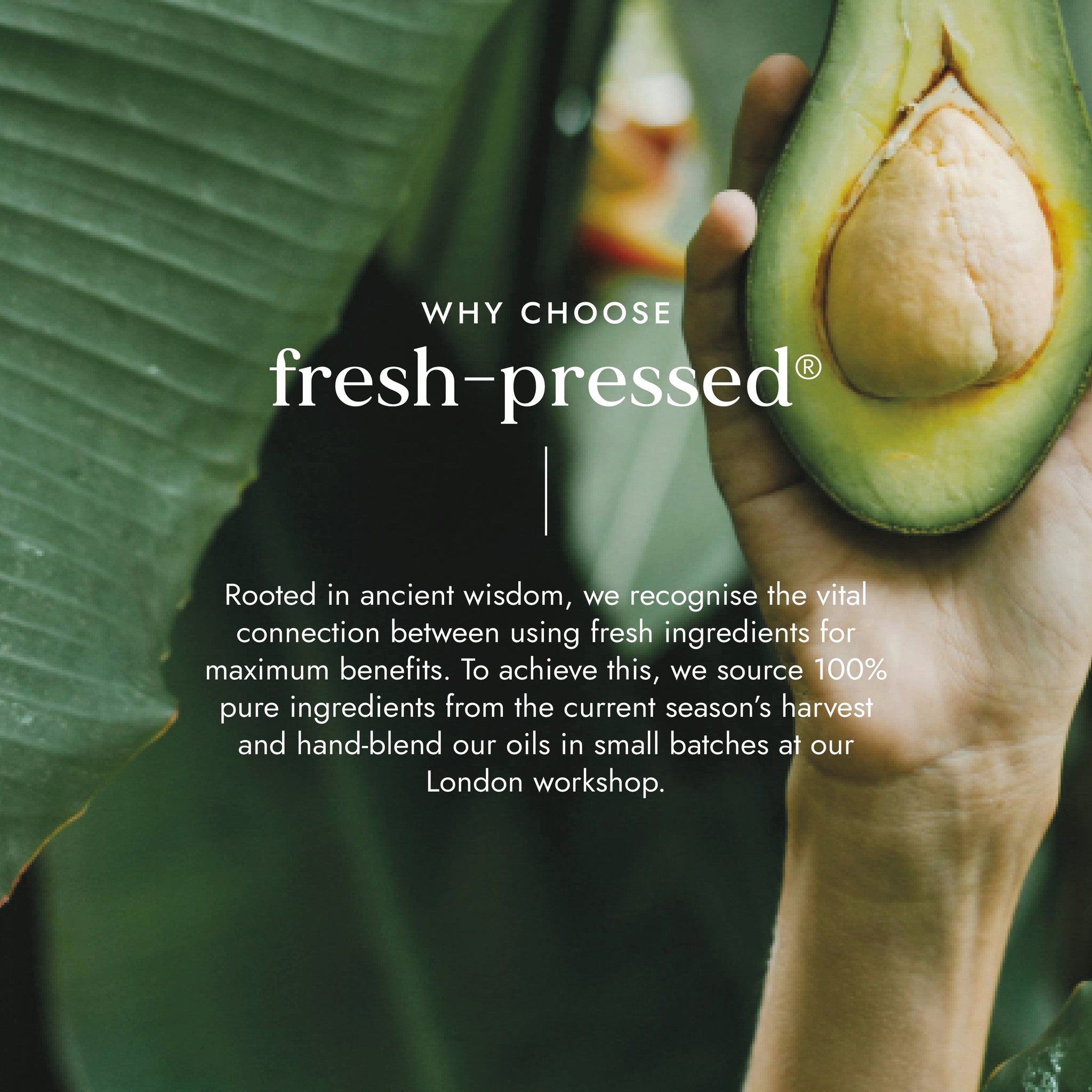 Hand holding an avocado with a leafy background and text about fresh-pressed products.