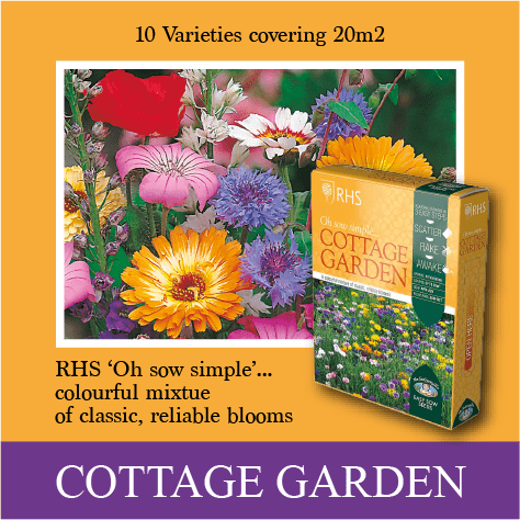 Summer Garden Flower Seed Mix for Bright Colorful Blooms