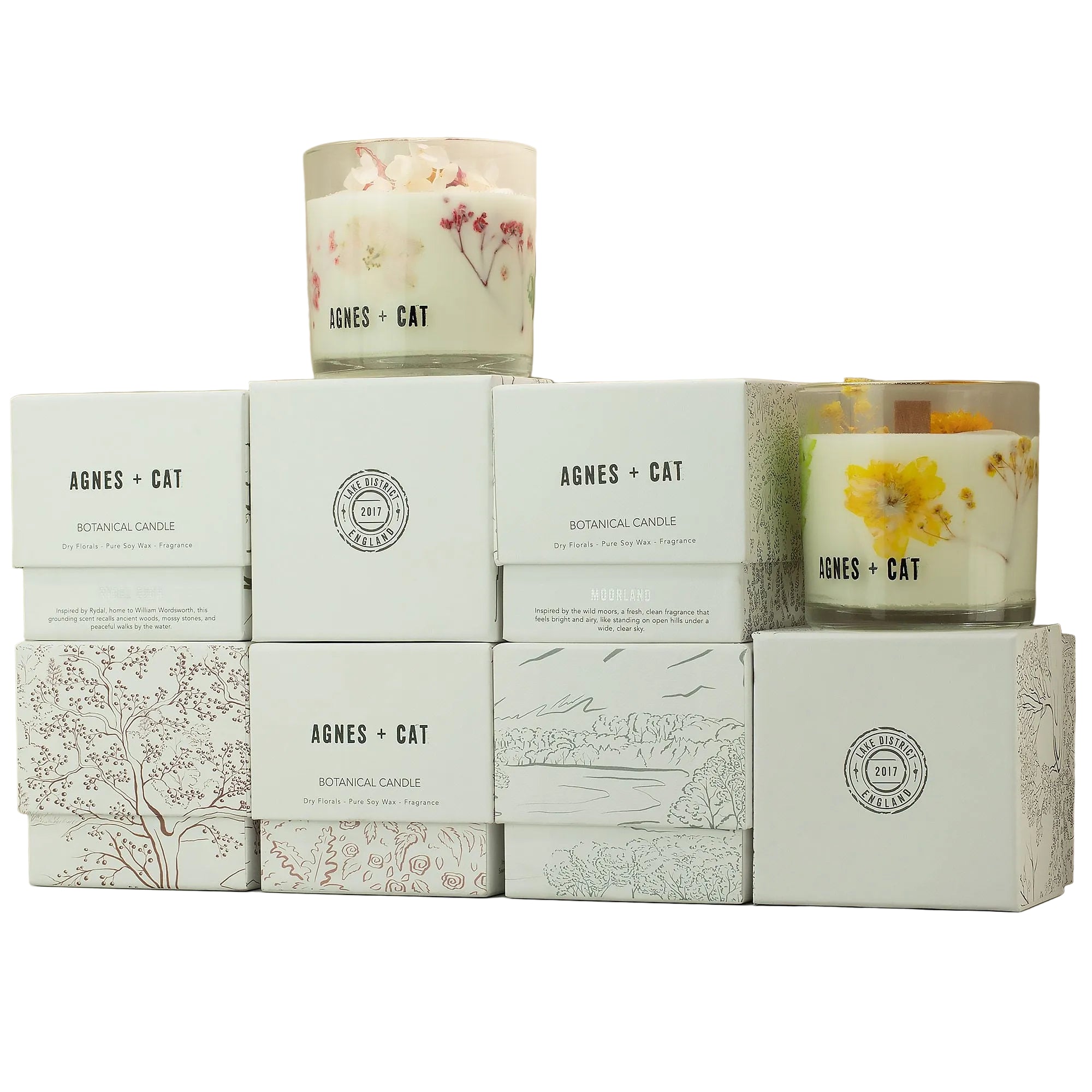 Candles and their packaging with 'AGNES + CAT' branding on a neutral background