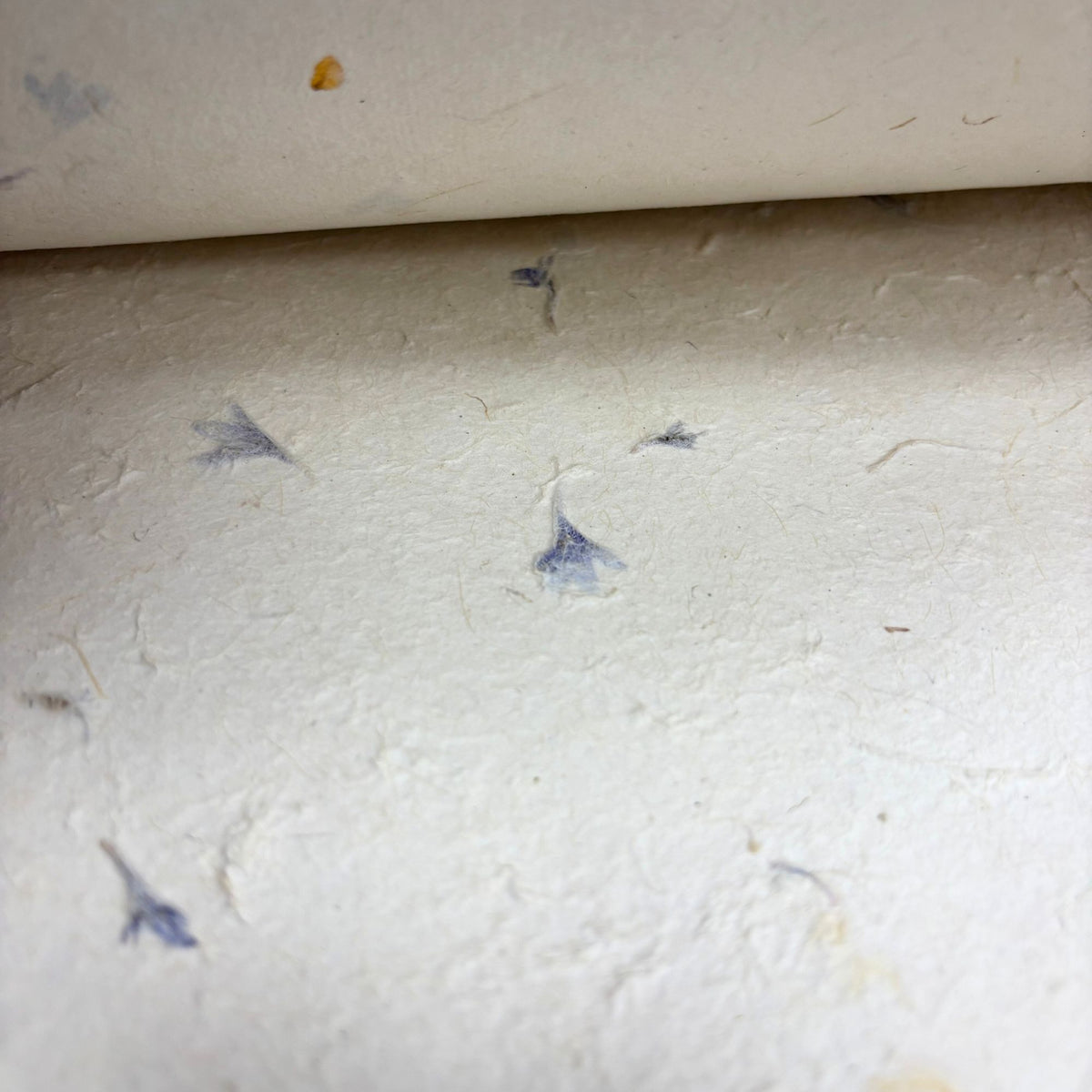 Close-up of textured paper with small floral patterns